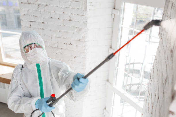 Best Mold Remediation for Healthcare Facilities  in Ohioville, PA